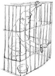 示意图：铁笼子