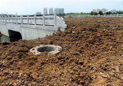 泗洪多条新修柏油路被盖上土种黄豆，路面被盖住后，桥栏杆和地下管道井仍十分醒目。