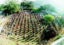 一九九六年北京國際法會的各國法輪功學員在戒臺寺晨煉