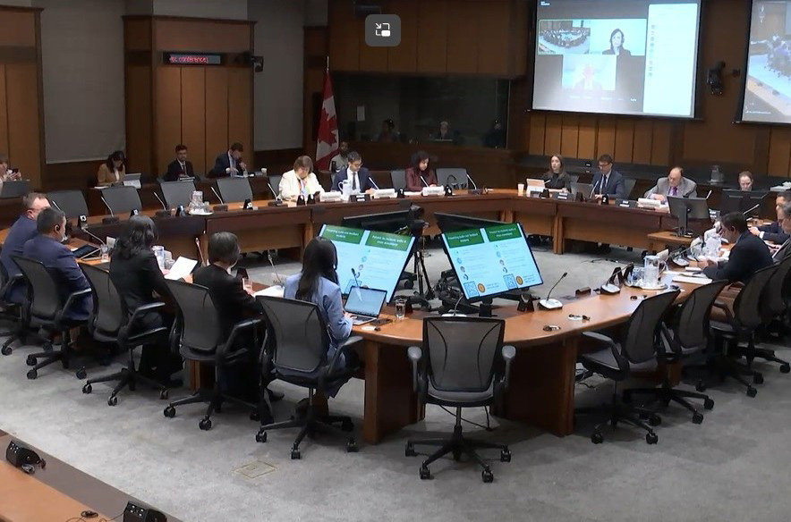 四月二十日，加拿大国会国际人权小组委员会（SDIR）举行“跨国镇压的全球影响”听证会。（国会视频截图）